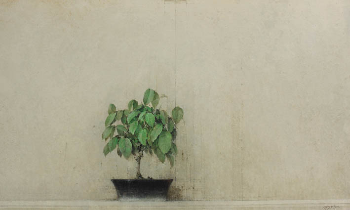 091943-bonsai-60x100 .jpg